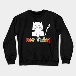 Not Today Sleeping Cat - Cat Lovers, Funny Crewneck Sweatshirt